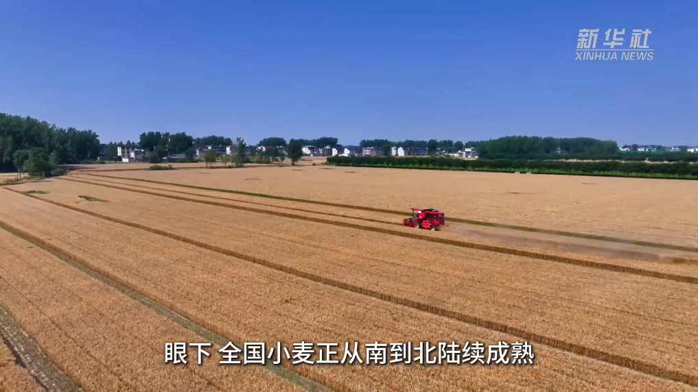 农业大市的夏收答卷：“拼”服务，更“拼”温度